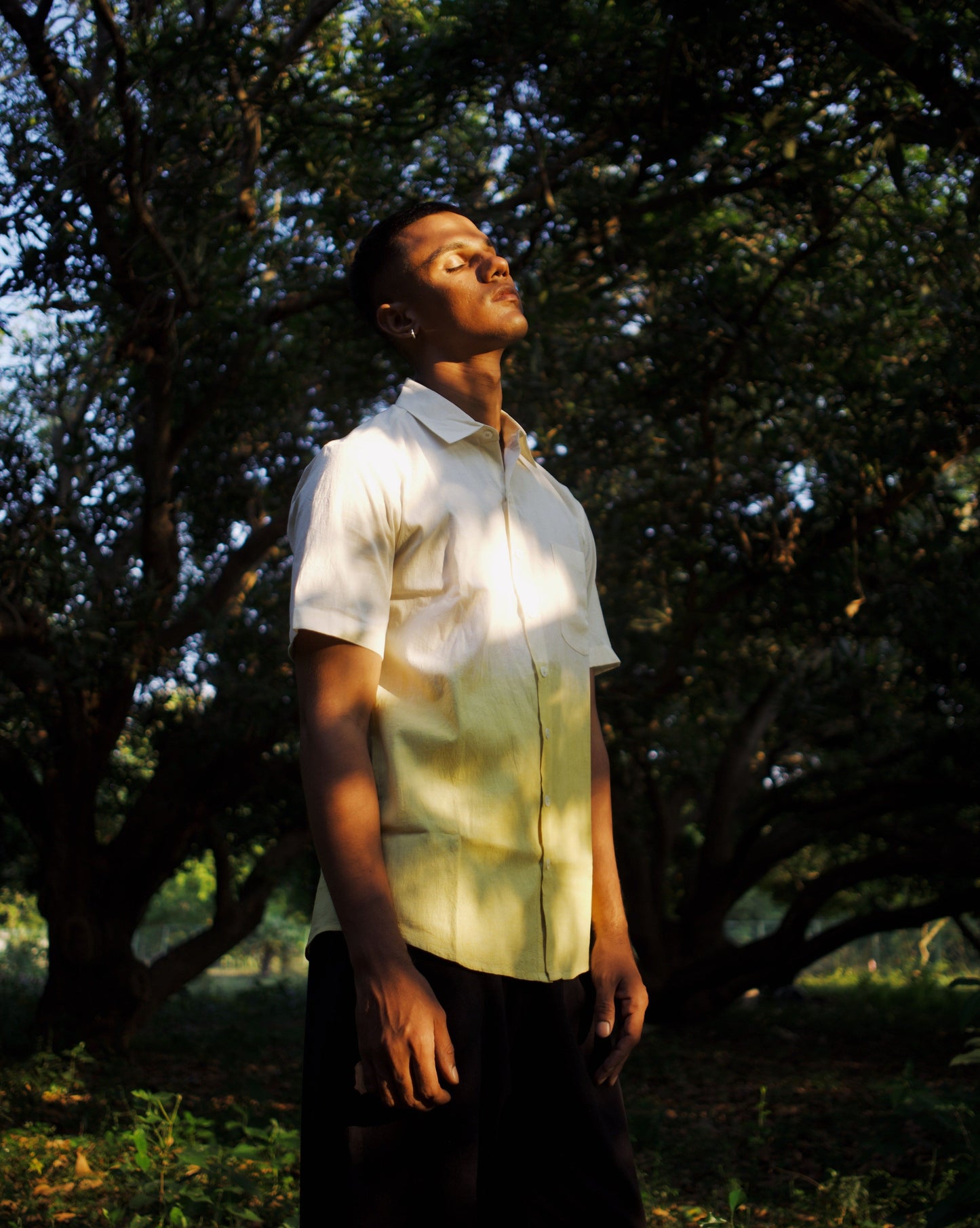 Golden Petals Shirt